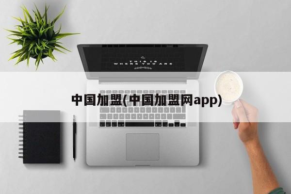 中国加盟(中国加盟网app) 第1张